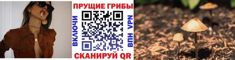 как найти   Саянск  Псилоцибиновые грибы Magic Shrooms 